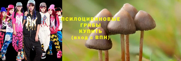 MDMA Premium VHQ Вяземский