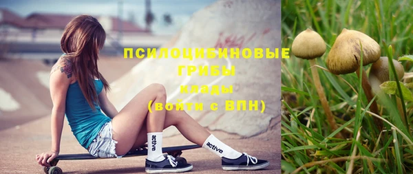 MDMA Premium VHQ Вяземский