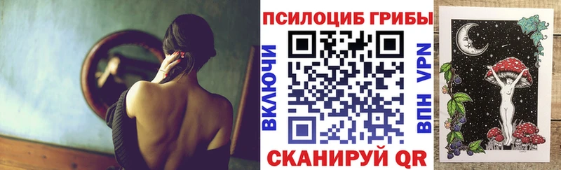 Купить  Магадан  Галлюциногенные грибы MAGIC MUSHROOMS 